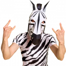 Zebra Engineering Visual Heavy Metal
